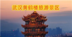 大鸡巴插逼网站