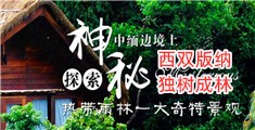 鸡巴插阴道的网站